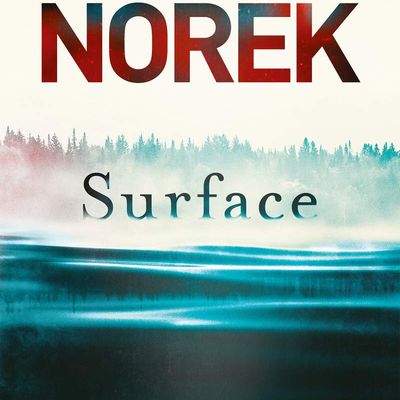 Surface - Olivier Norek