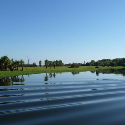 Kakadu - Yellow Waters