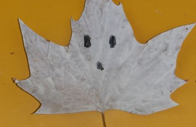 Bouh ! Des fantômes d'Halloween très nature !