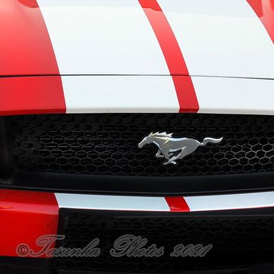 Ford MUSTANG V8 - GT - 5.0L - 421 HP - Fastback (2015)