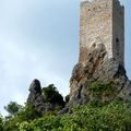 Photo"au milieu des vignes"