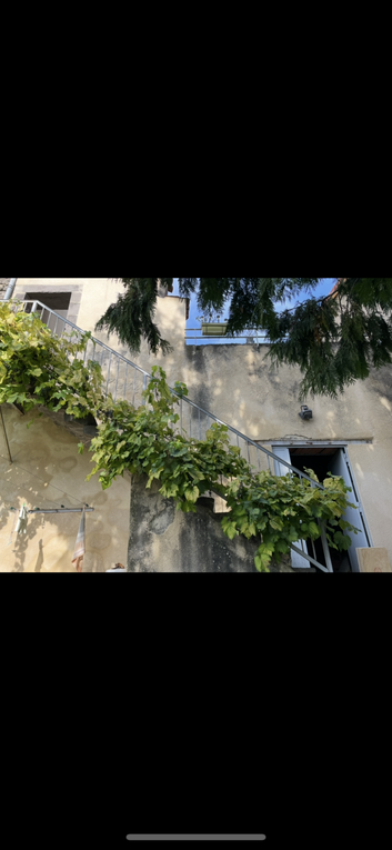 Mercredi 24 sept 2025 le jardin de ma copine Margot  (20 sept 2025 sous un soleil radieux, j'adore y descendre, c'est sa passion son bout de jardin  , mon diapo pour toi , plaisir en partage ) 