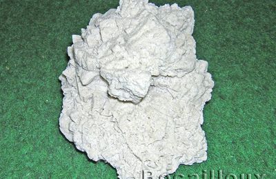 CONCRETION GRESEUSE 459