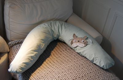 un coussin spécial