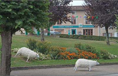 Traversée d'animals