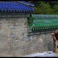 Pékin, Temple du ciel.