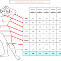 Tableau de Bord : Mensurations