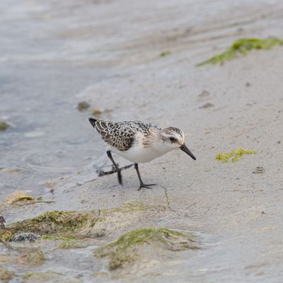 Séjour en Haut Pays Bigouden (2)