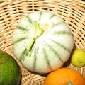 Un melon du jardin