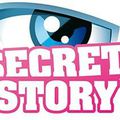 Secret Story:La nouvelle télé-connerie de TF1
