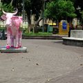 The Cow parade à San José