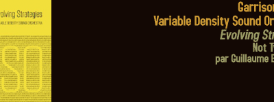 Variable Density Sound Orchestra : Evolving Strategies (Not Two, 2014)