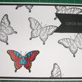 carte papillon