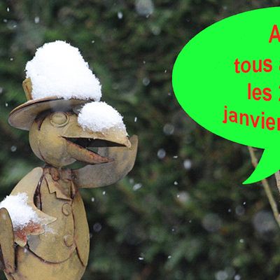 Week-end national de comptage des Oiseaux des jardins