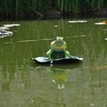  La Grenouille et le Boeuf.
