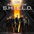 Marvel's agents of S.H.I.E.L.D - Saison 1 Episode 2 - Critique