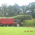 Ensilage maïs 2004