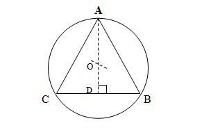 Rapports primordiaux