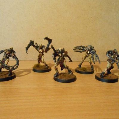 Ma force Imperial Agent