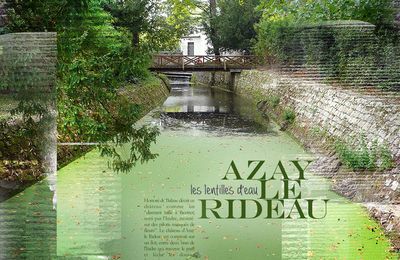 Azay-le-Rideau - Lentilles d'eau sur l'Indre