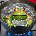 La grenouille prête pour l'ébullition ?