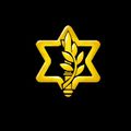 Tsahal Armée de défense d'Israël Tsva ha-Haganah le-Israël