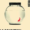 La condition pavillonnaire, Sophie Divry