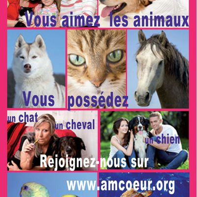 amcoeur.org ... c'est aussi un site