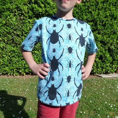 scarabée bleu turquoise