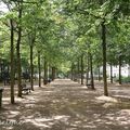 Petite ballade dans le centre de Cholet; petit coucou aux jeunes basquetteuses du parc 