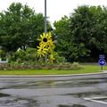 Rond-point à Fouesnant