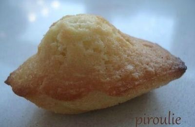 Madeleine de G. Lenôtre à la fève tonka