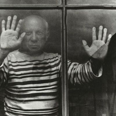 Programme du mois de novembre : PICASSO