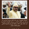 المملكة المغربية : من عادة الملك محمد السادس أنه يتدخل في الوقت المناسب و يتخد القرارات المناسبة، لأن الملك يقود البلاد بحكمة كب