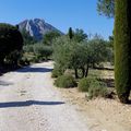 Le printemps dans les Alpilles, autour d'Eygalières