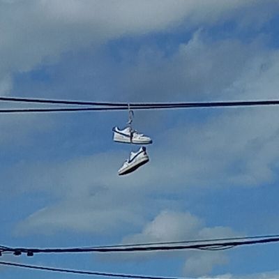 [projet 52-2023] Au gré du vent ...