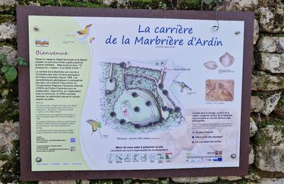 A PROPOS DES « MARBRES D’ARDIN » 