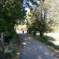 chemin du Ban, chemin de la Croix Mazenod, rue du Clos-Marquet, à Saint-Chamond