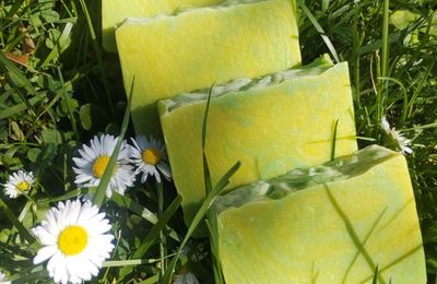 Savon Agrumes et sauge