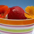 Sorbet aux framboises