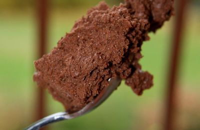 Sa mousse au chocolat