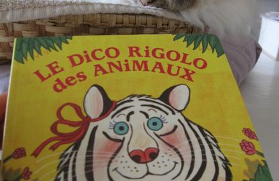 Le dico rigolo des animaux - Elisabeth Brami et Tor Freeman