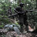 14 Militaires déserteurs (Ex-CNDP) devant la justice militaire à Bukavu