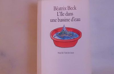 l'île dans une bassine, Béatrix Beck, collection neuf, éditions l'école des loisirs 1996