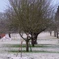 Deuxième attaque de la neige en deux semaines.