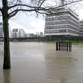 Débordements intempestifs de la Vilaine à Rennes le 26 janvier 2025 (2)