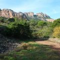 Le Var... La forêt de Palayson à Roquebrune sur Argens...