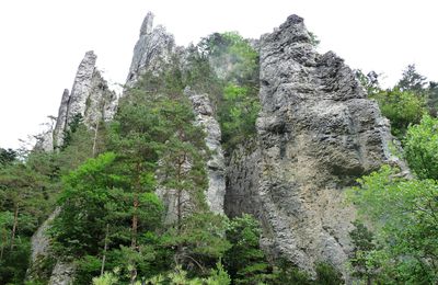 Les sucettes de Borne- Vercors