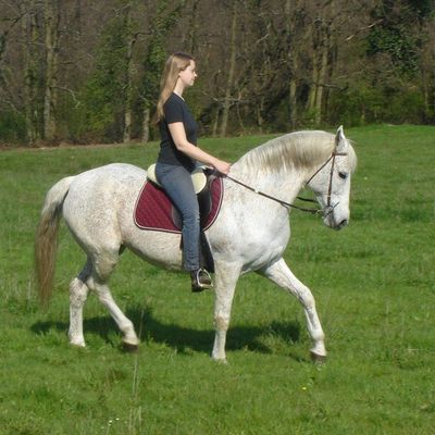 Présentation du site