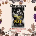 Mon avis sur "Playing with Fire" de L.J Shen